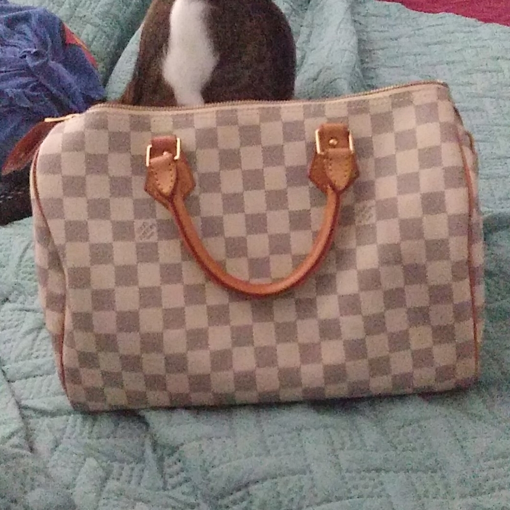 Louis Vuitton Speedy 30 Damier Azur